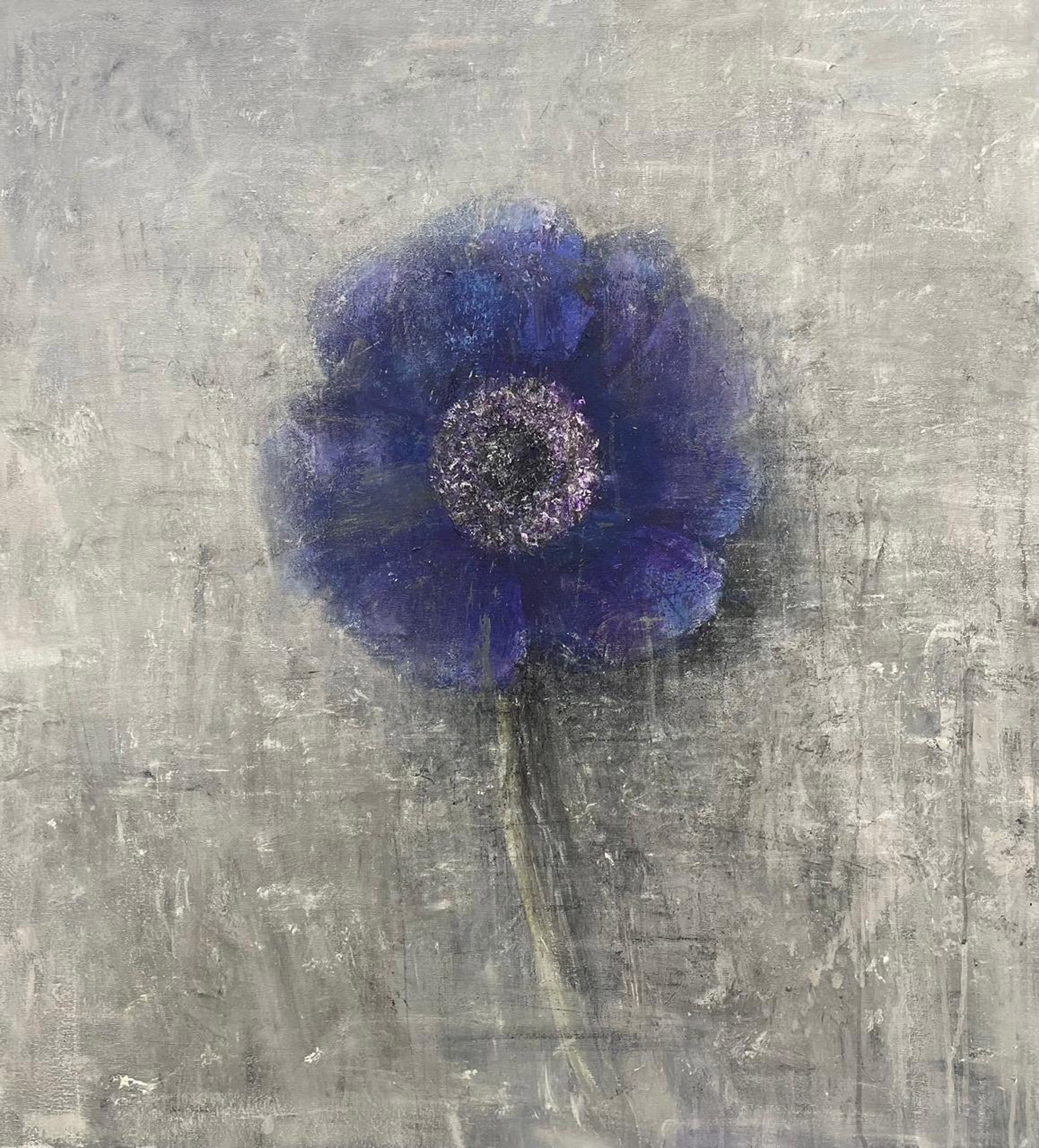 Синий анемон