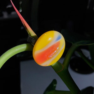 Кольцо лето