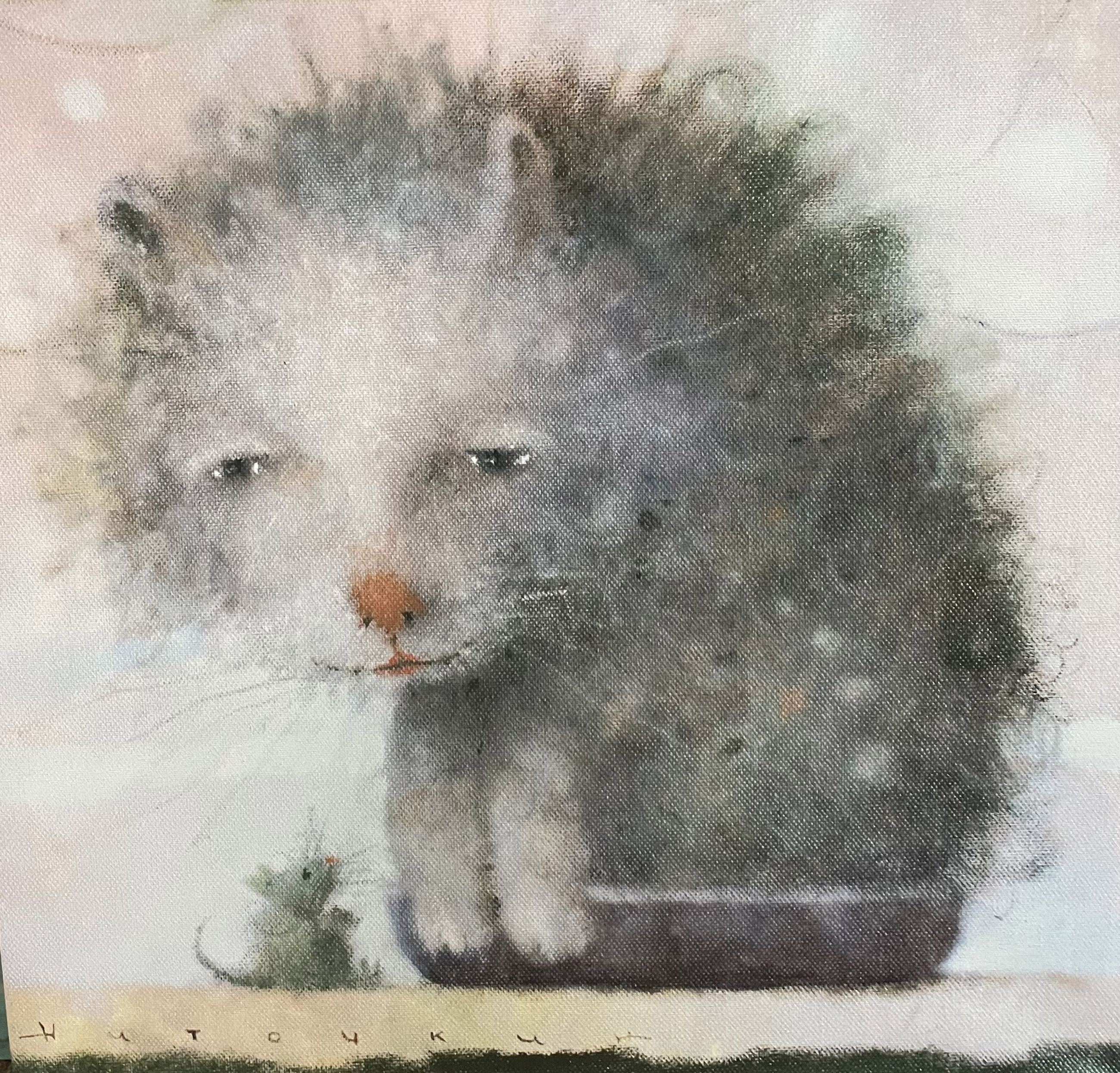Кот
