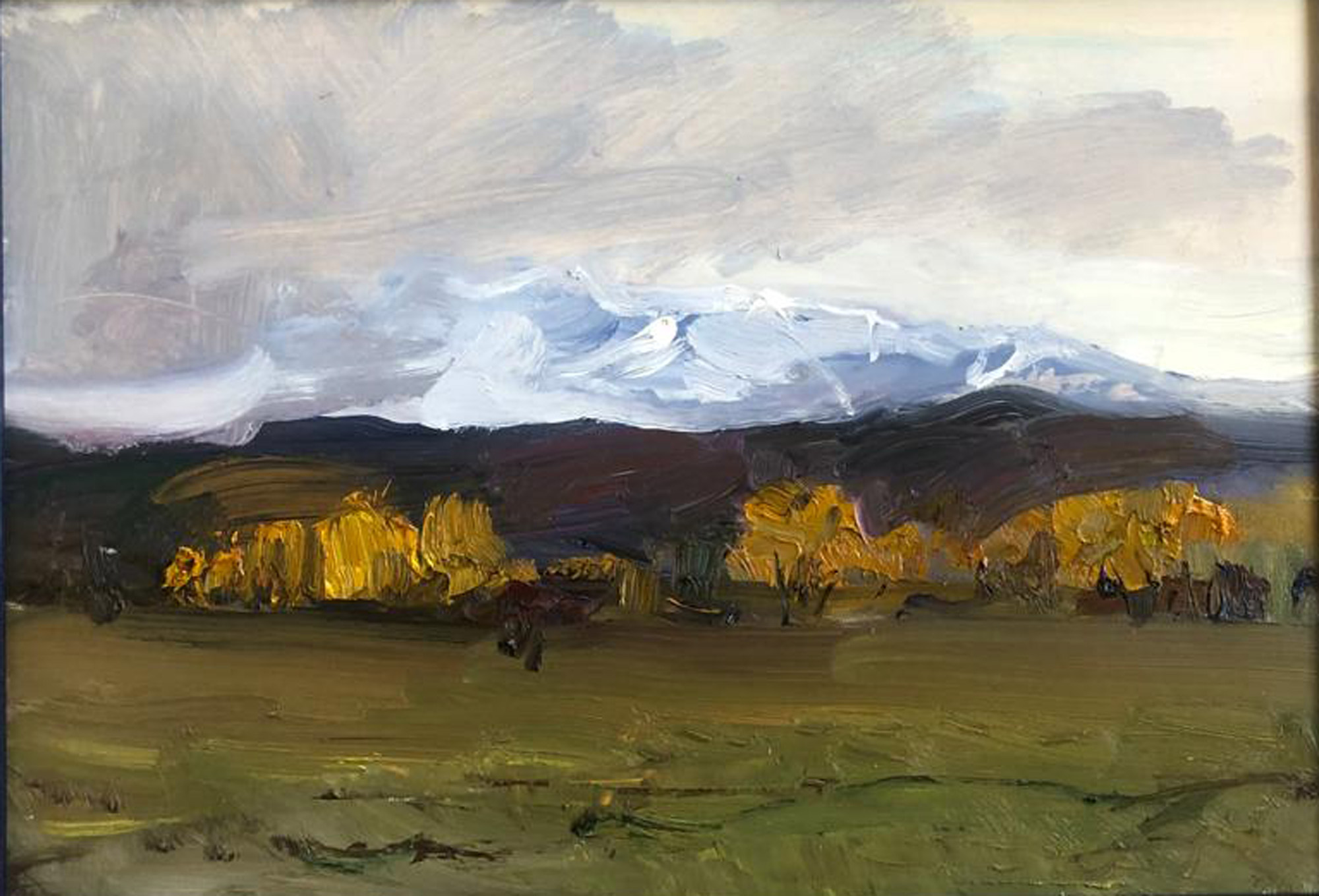 Перед снегом