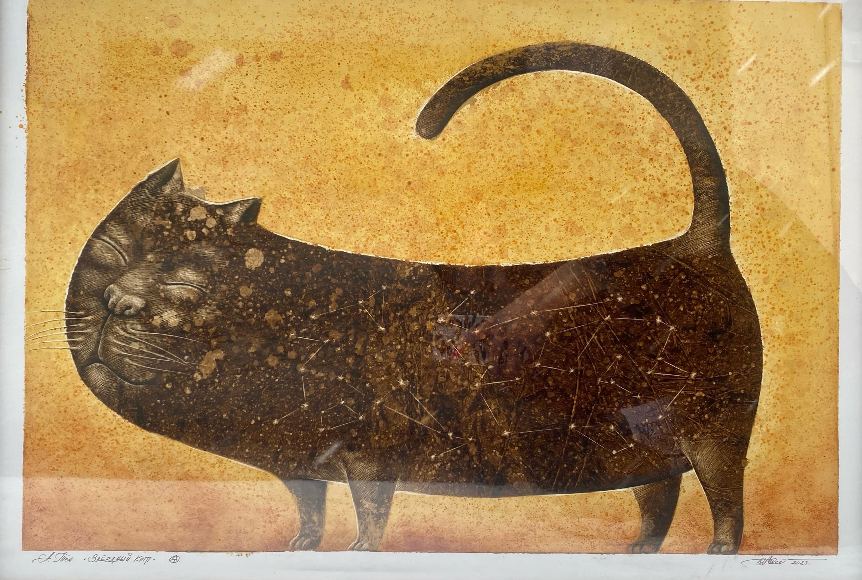 Звездный кот