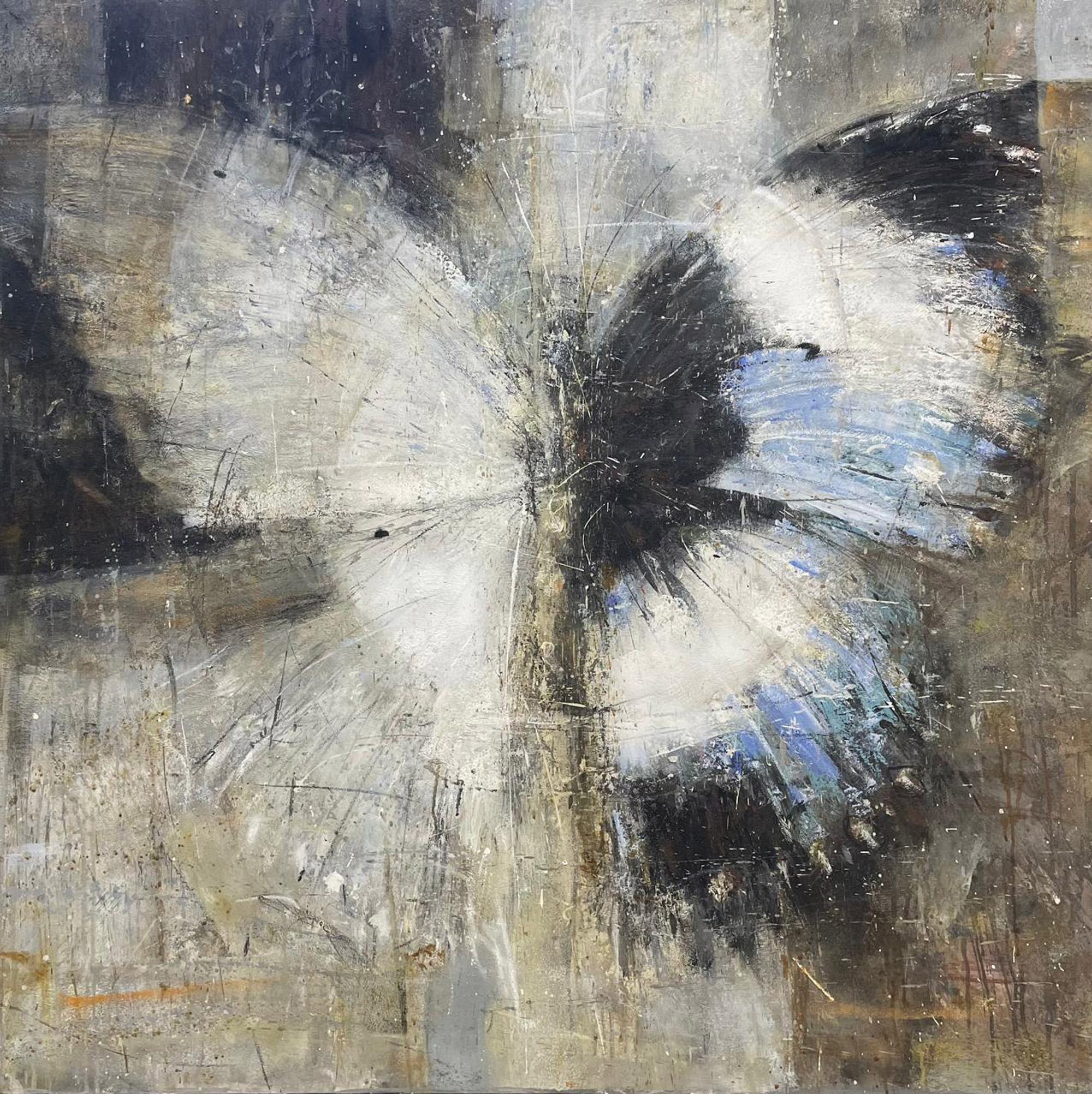 Butterfly №8