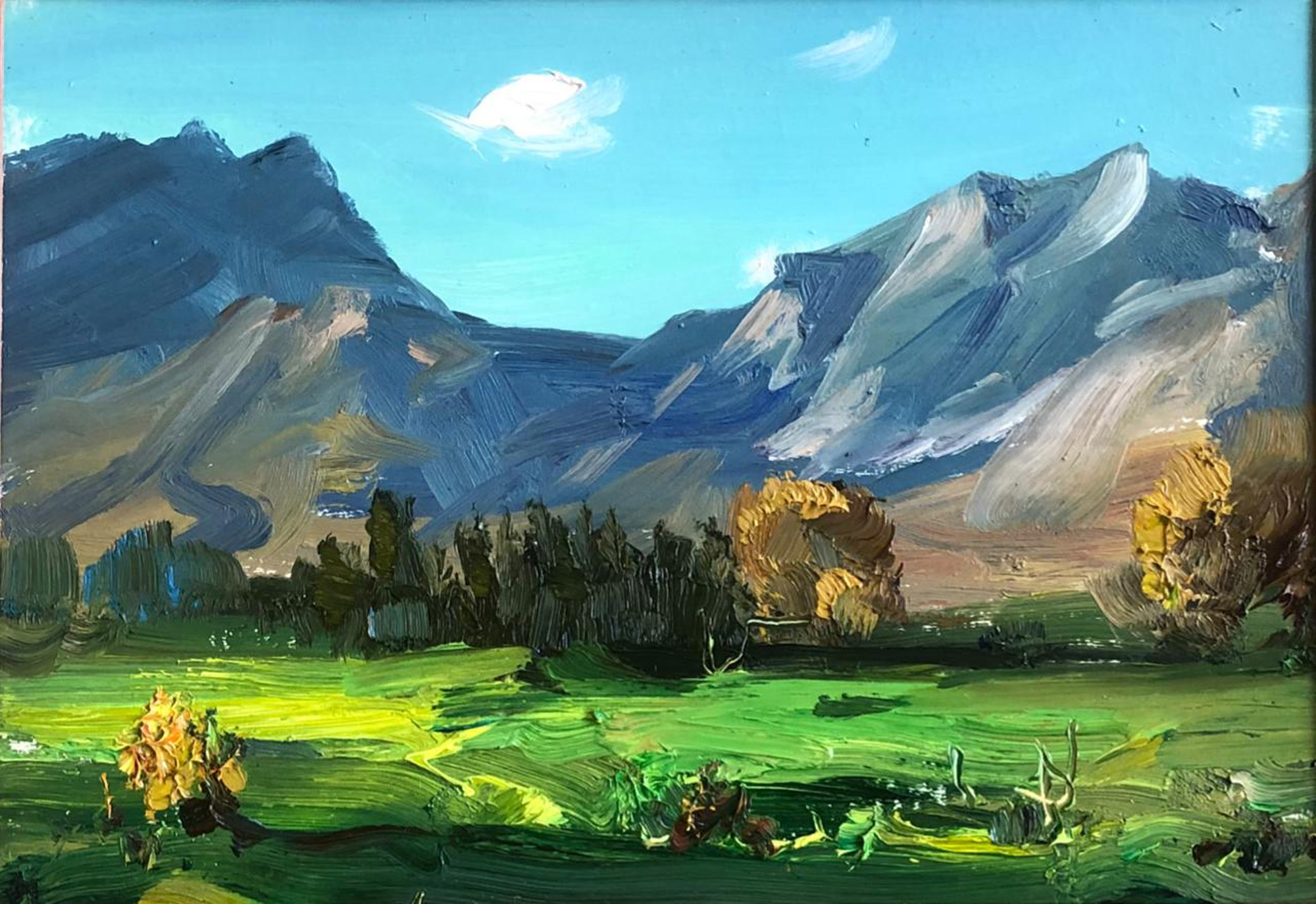 Солнечный день