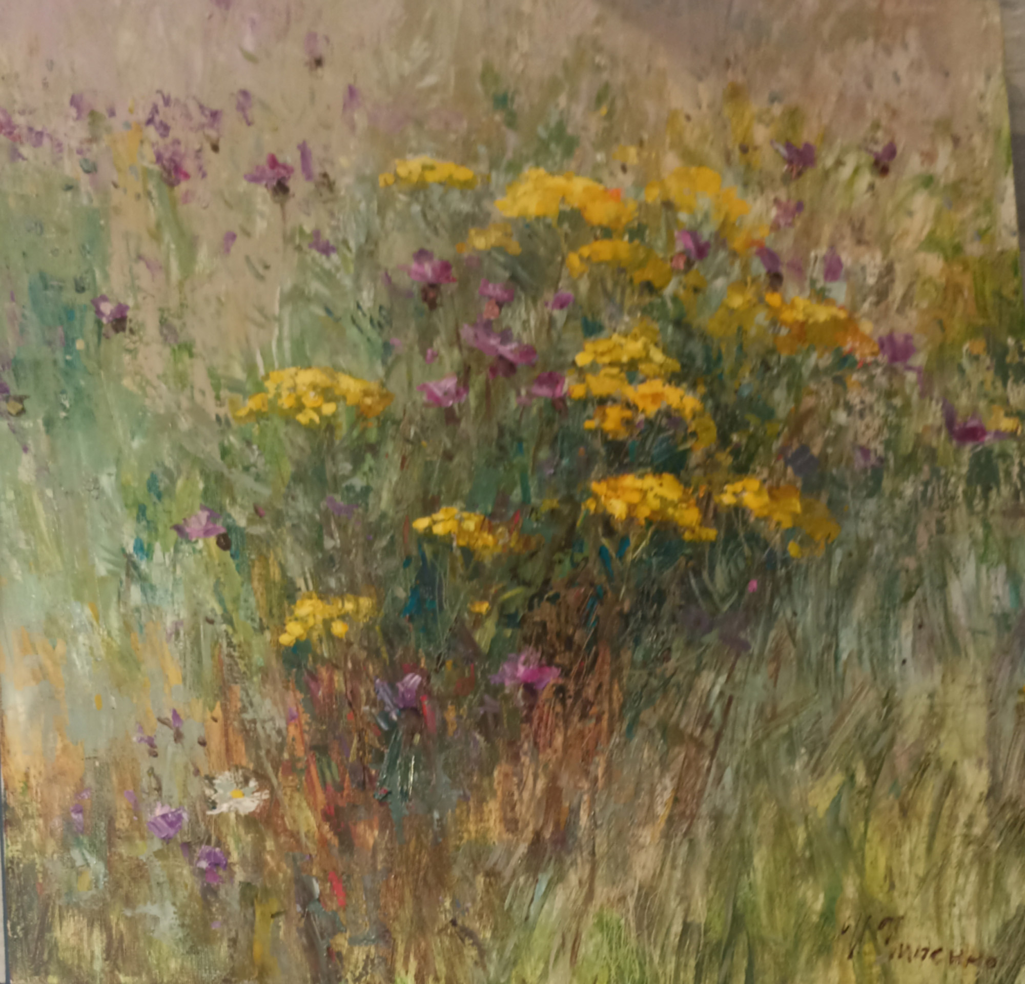 Луговые кружева