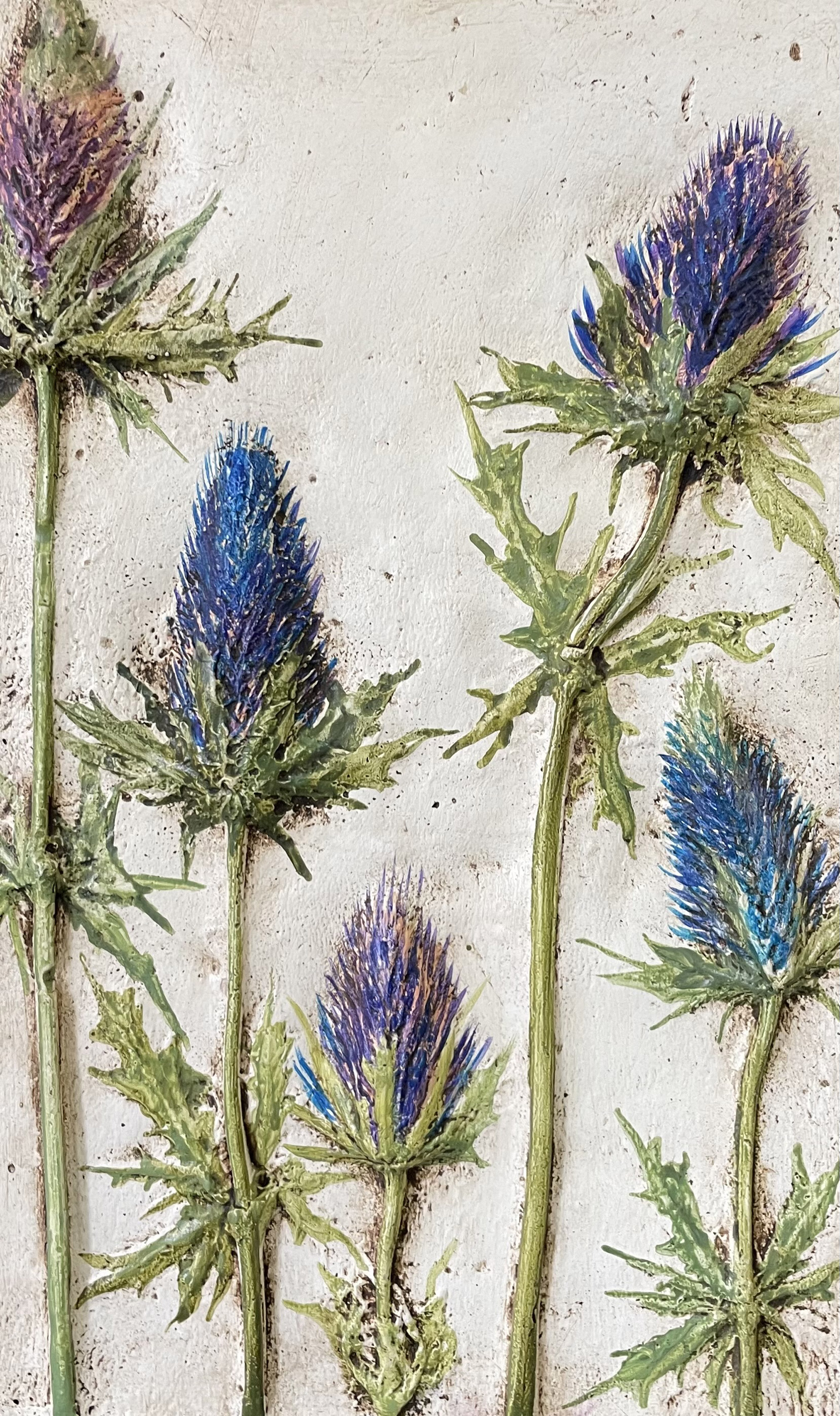 Синеголовник альпийский, барельеф с соцветиями